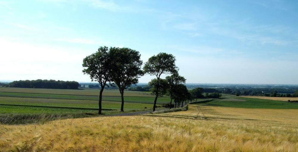 Camping Pommiers Des Trois Pays Licques Экстерьер фото